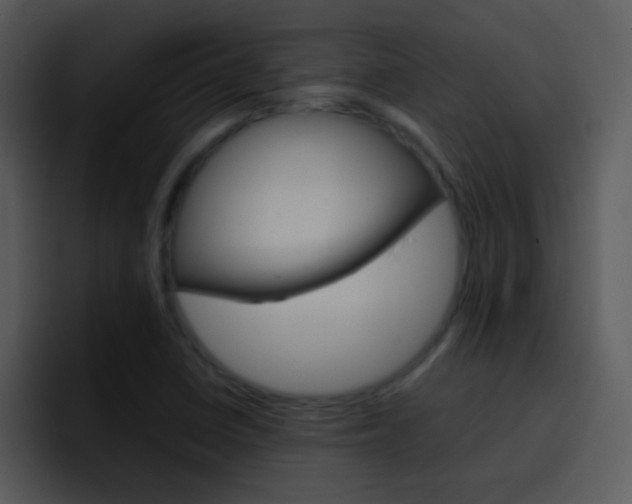 X0000096981410200802080850