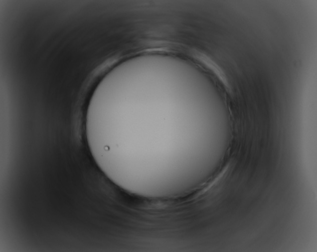 X0000096981411200802080850
