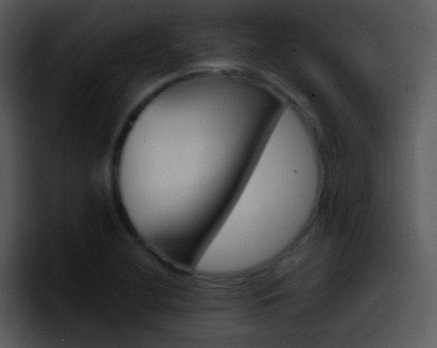 X0000096981412200802080850