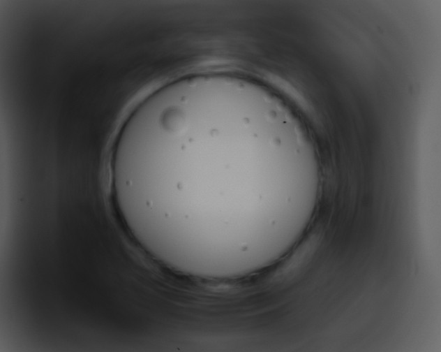 X0000096981413200802080850