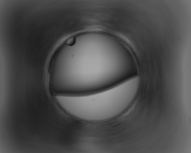 X0000096981414200802080850