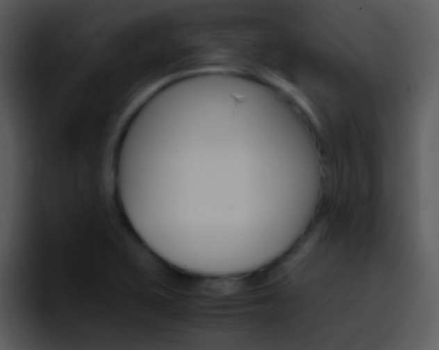 X0000096981415200802080850
