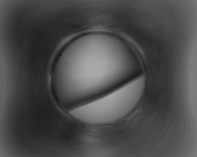 X0000096981416200802080850