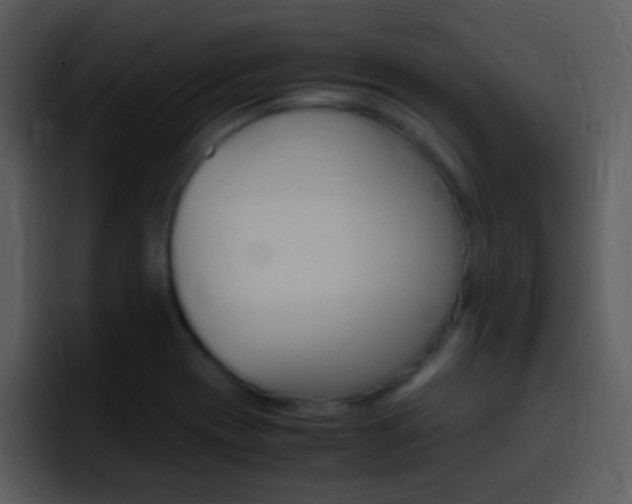 X0000096981417200802080850