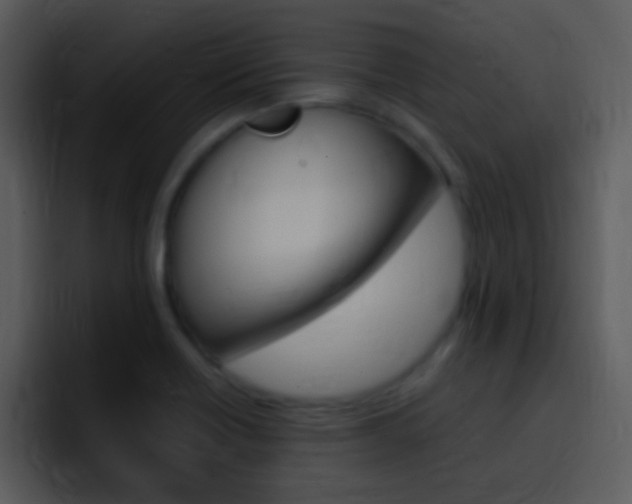 X0000096981418200802080850