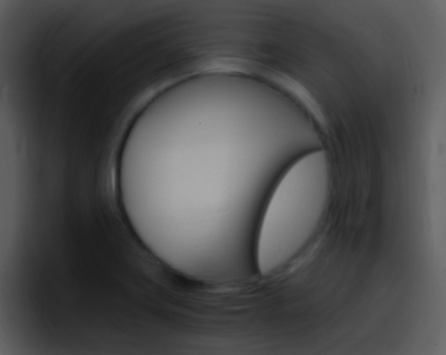 X0000096981419200802080850