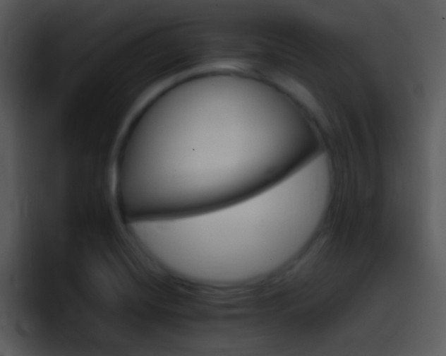 X0000096981420200802080850