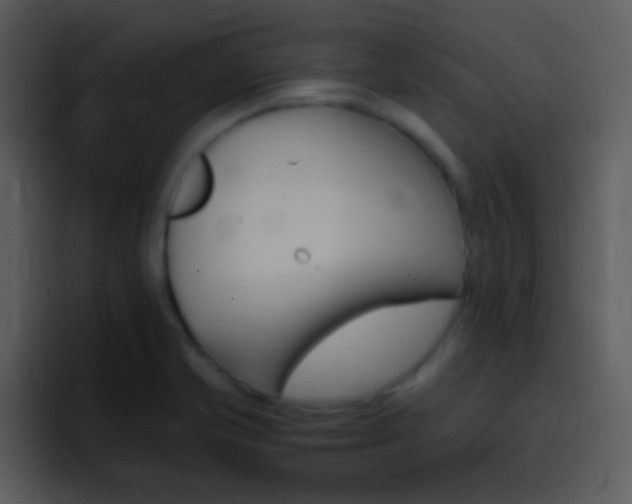 X0000096981421200802080850