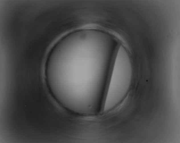X0000096981422200802080850