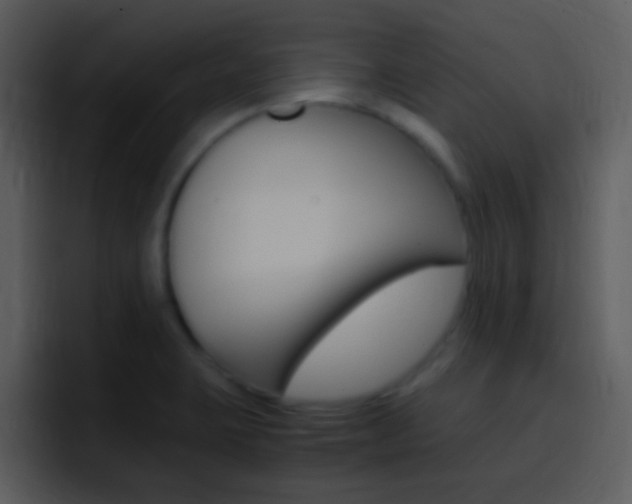 X0000096981423200802080850