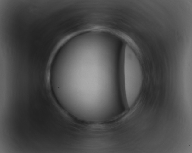 X0000096981424200802080850