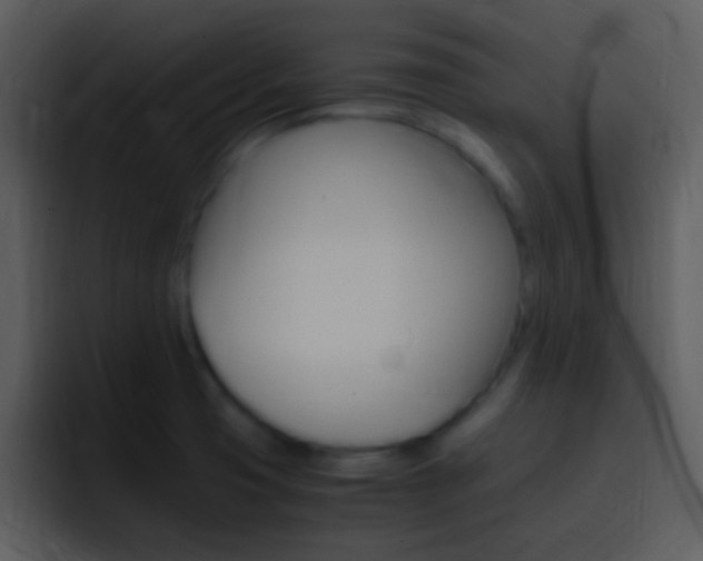 X0000096981425200802080850