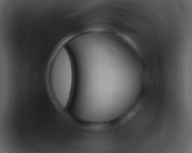 X0000096981426200802080850