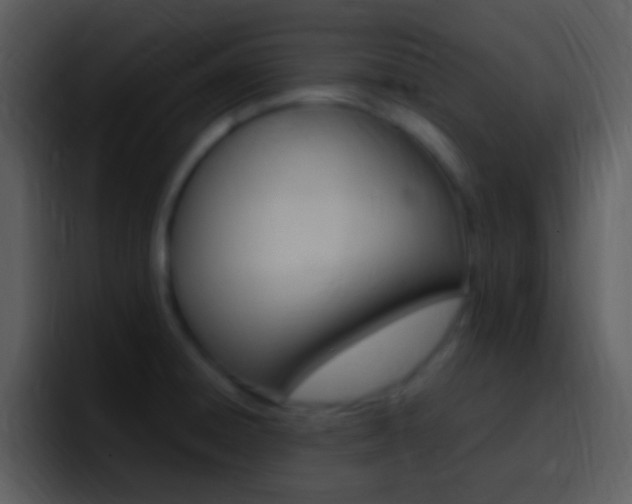 X0000096981428200802080850