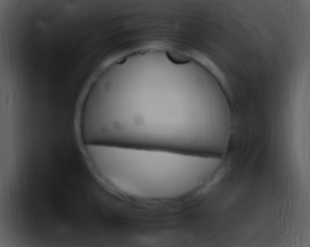 X0000096981429200802080850