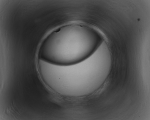 X0000096981430200802080850