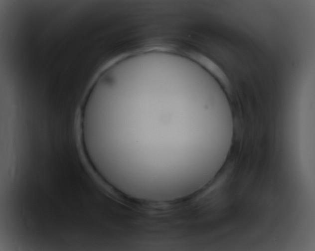X0000096981431200802080850