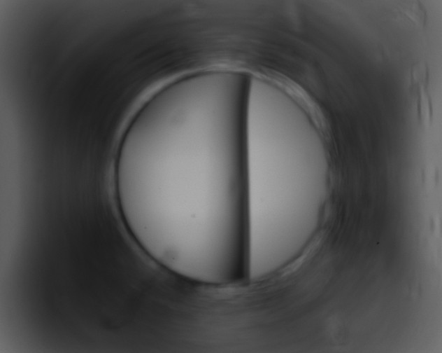 X0000096981432200802080850