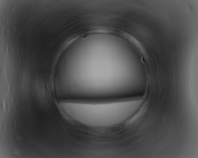 X0000096981433200802080850
