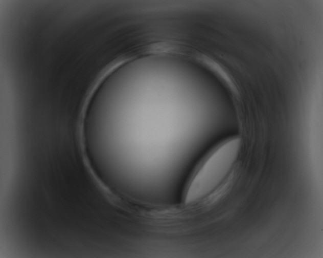 X0000096981434200802080850