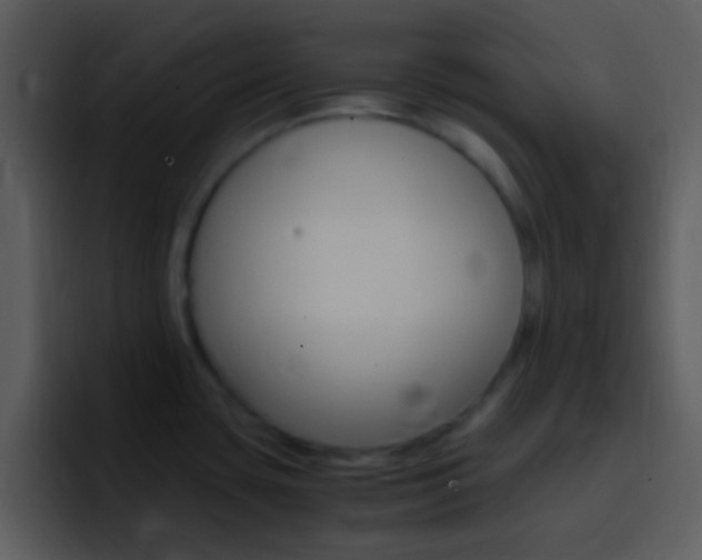X0000096981435200802080850