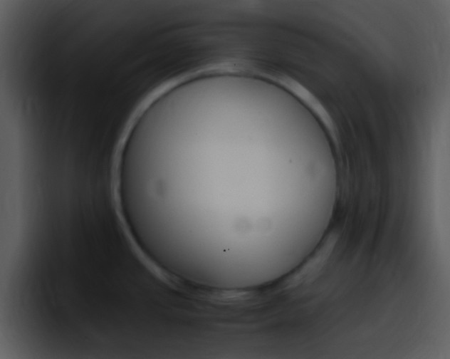 X0000096981437200802080850