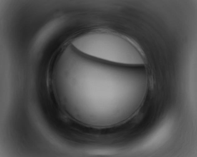 X0000096981438200802080850