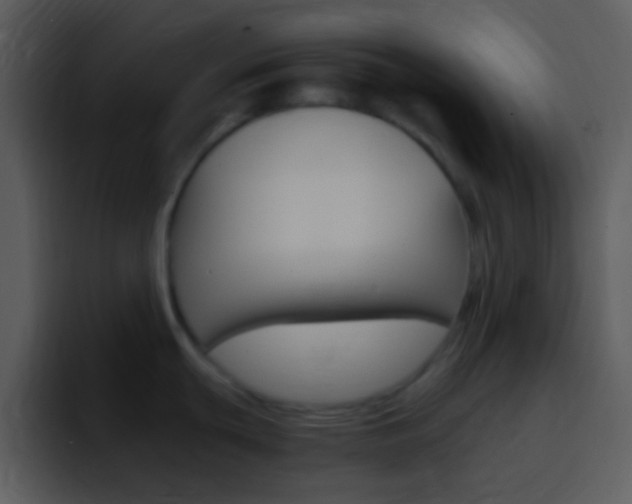 X0000096981439200802080850