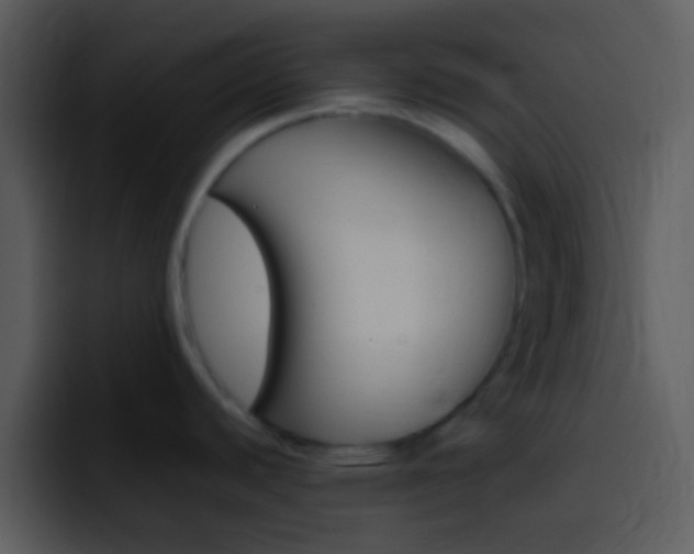 X0000096981440200802080850
