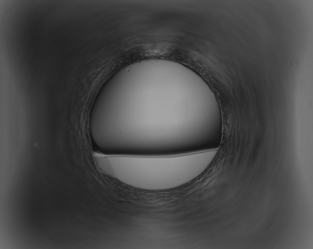 X0000096981441200802080850