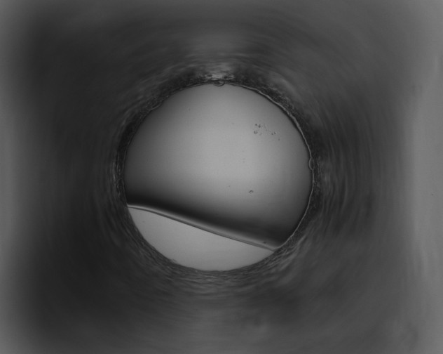 X0000096981442200802080850
