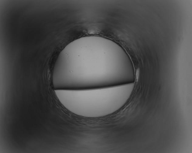 X0000096981443200802080850