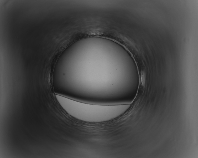 X0000096981444200802080850