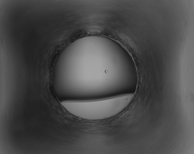 X0000096981445200802080850