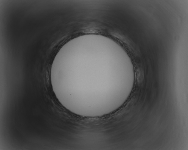 X0000096981446200802080850