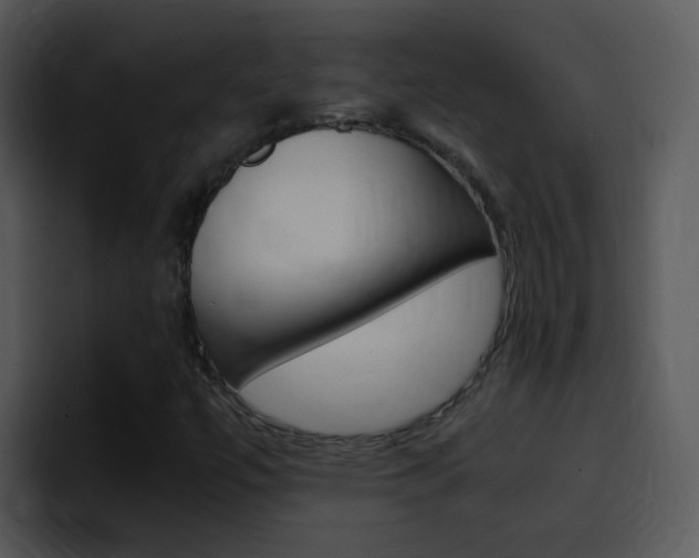 X0000096981447200802080850