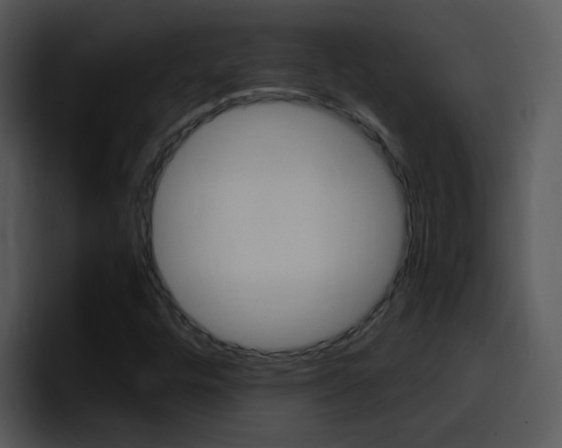 X0000096981448200802080850