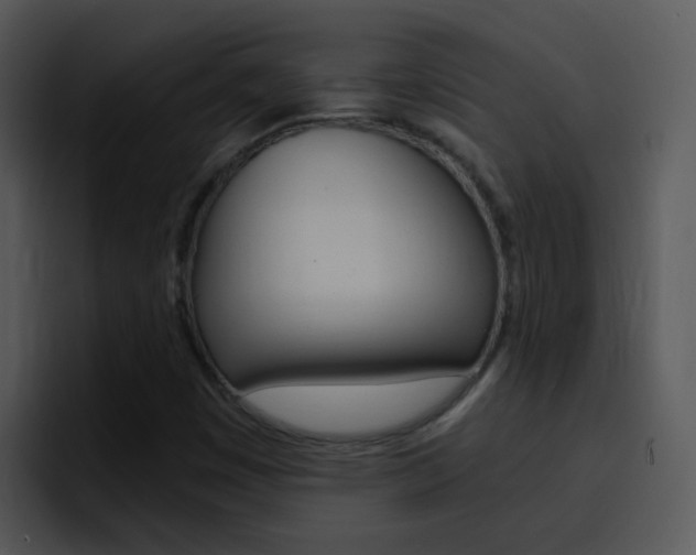X0000096981449200802080850