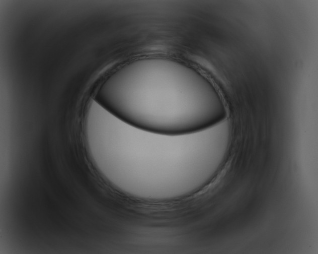 X0000096981450200802080850