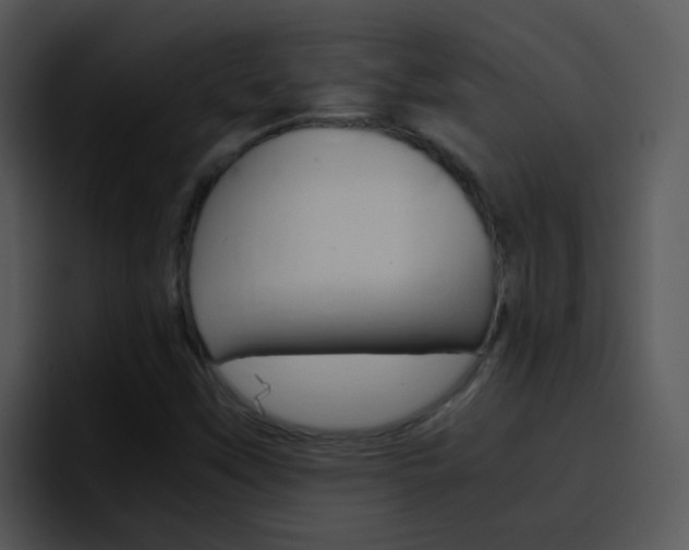 X0000096981451200802080850