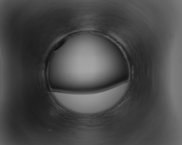 X0000096981452200802080850