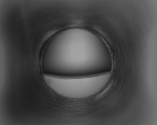 X0000096981453200802080850
