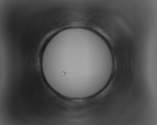 X0000096981454200802080850