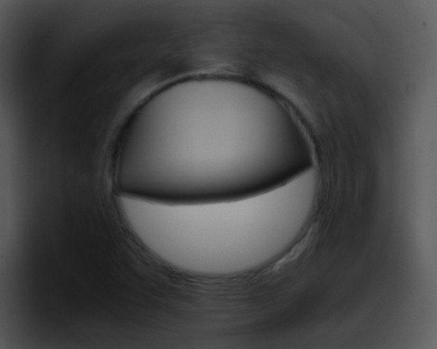 X0000096981455200802080850