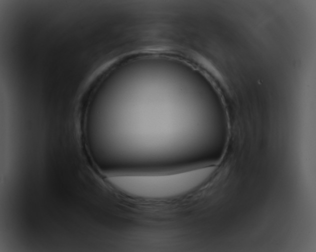 X0000096981456200802080850