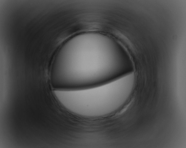 X0000096981457200802080850