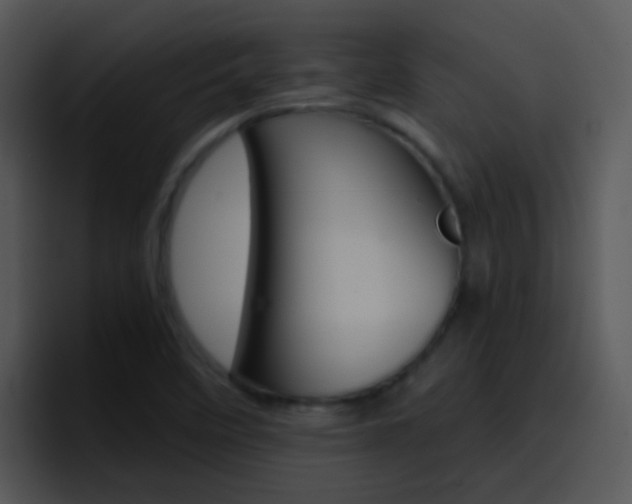 X0000096981458200802080850