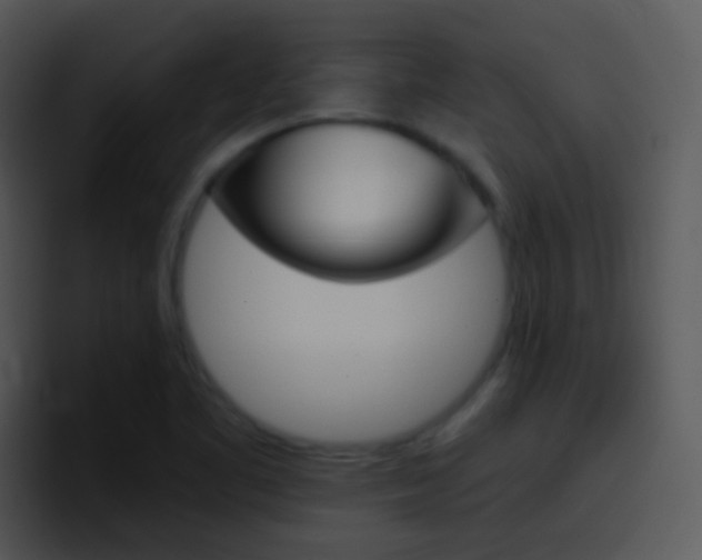 X0000096981461200802080850