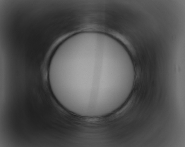 X0000096981462200802080850