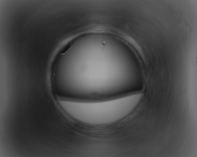 X0000096981464200802080849